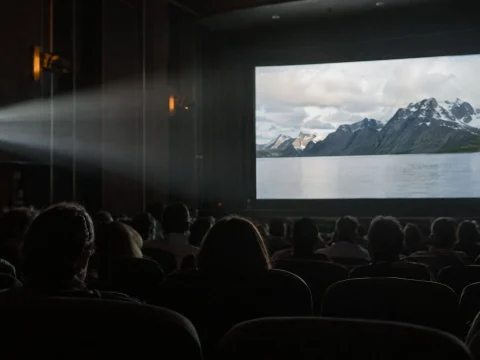 Silhouettes of a cinema audience watching a bright screen, with the projector beam overhead